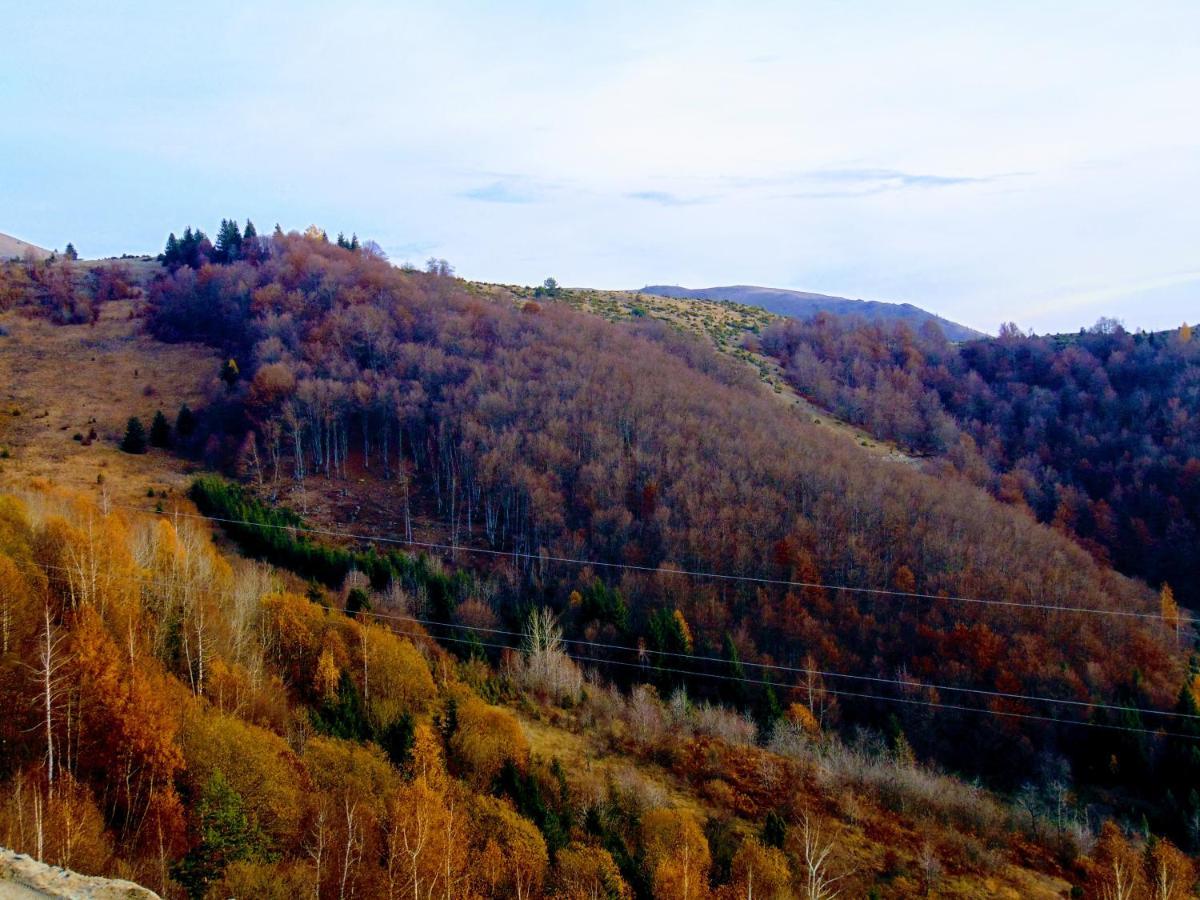 Sunny Days Apartman Kopaonik Buitenkant foto
